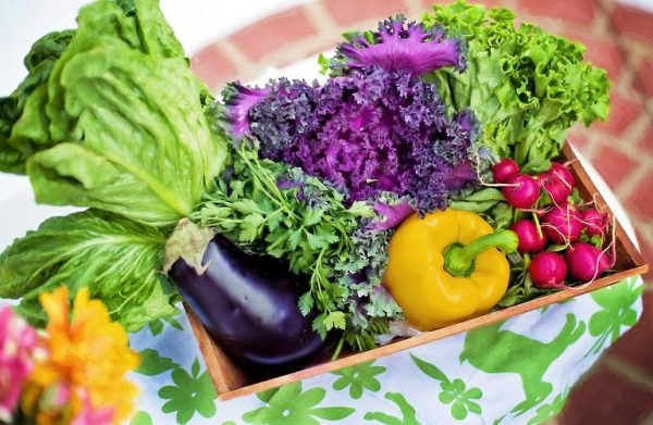 Φρούτα – λαχανικά: Ποια τουρκικά προϊόντα εντοπίστηκαν με φυτοφάρμακα