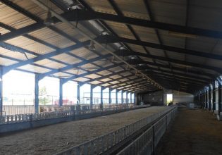 Ρέθυμνο: Άνδρας βρέθηκε νεκρός στο μαντρί του – Συνελήφθη ο αδερφός του