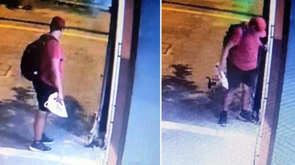 Θεσσαλονίκη: Ταυτοποιήθηκε ο άνδρας που πάτησε και σκότωσε το γατάκι