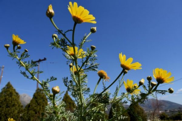 Καιρός: Ασυνήθιστο «ατμοσφαιρικό μποτιλιάρισμα» – Η περίεργη πρόβλεψη