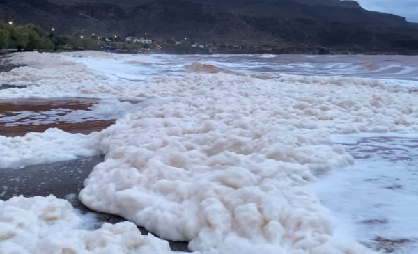 Επιστήμονες εξηγούν το φαινόμενο του «λευκού αφρού» που γέμισε τις παραλίες της Σητείας