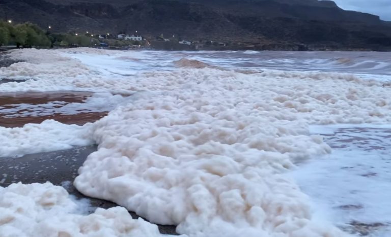 Επιστήμονες εξηγούν το φαινόμενο του «λευκού αφρού» που γέμισε τις παραλίες της Σητείας