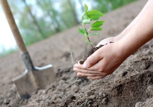 Γεωργαντάς: Μείωση της χρήσης φυτοφαρμάκων κατά 50% έως το 2030