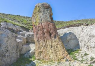 Μνημεία παγκόσμιας Γεωλογικής Κληρονομιάς: Στην λίστα το απολιθωμένο δάσος στη Λέσβο και η καλντέρα της Σαντορίνης