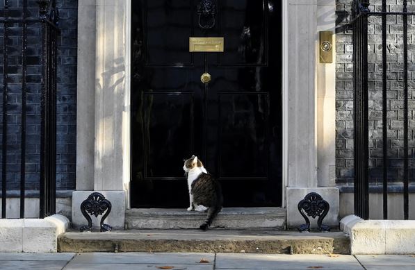 Βρετανία: Έμπλεξε σε καβγά ο Λάρι, ο γάτος της Ντάουνινγκ Στριτ