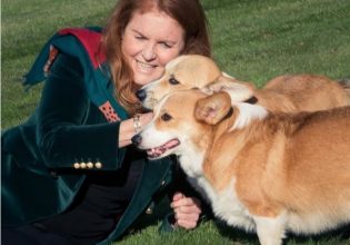 Η Σάρα Φέργκιουσον δημοσιεύει φωτογραφίες των κόργκι της Ελισάβετ στο νέο τους σπίτι