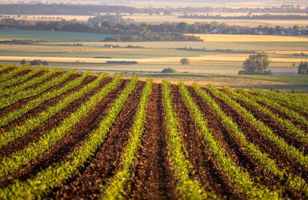 ΟΠΕΚΕΠΕ: Aνοίγει το σύστημα για διορθώσεις αγροτεμαχίων