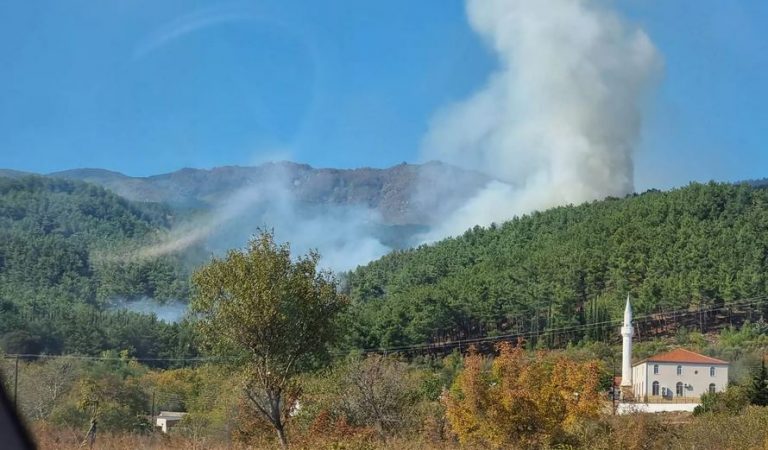 Πυρκαγιά σε δασική έκταση στο Μίσχο Ροδόπης