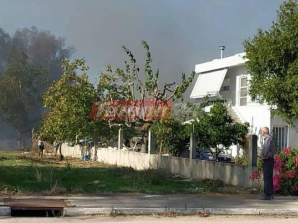 Μεγάλη φωτιά στον Λάππα Αχαΐας – Κοντά σε σπίτια οι φλόγες (φωτο & βίντεο)