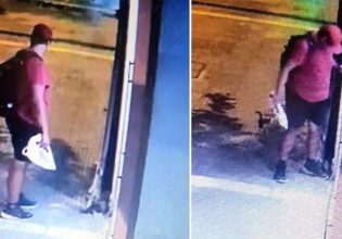 Θεσσαλονίκη: Διδάκτωρ στο ΑΠΘ ο 39χρονος που ποδοπάτησε και σκότωσε το γατάκι