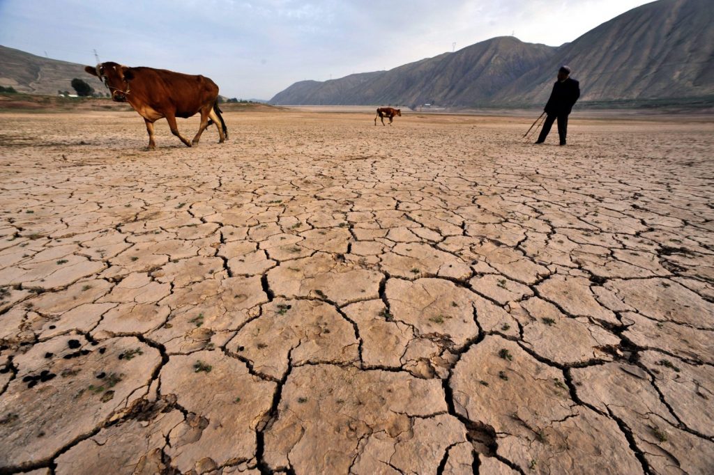 Засуха пришла. Опустынивание Кыргызстан. Сахель опустынивание. Пустыня засуха. Атмосферная засуха.