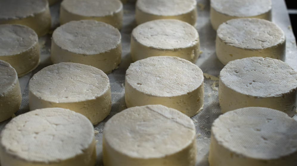 Σούπερ μάρκετ: «Χρυσός» το τυρί και το γιαούρτι – Συνεχίζεται το ράλι των αυξήσεων