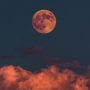 Σελήνη: Αυστραλοί επιστήμονες θέλουν να καλλιεργήσουν φυτά στο φεγγάρι ως το 2025