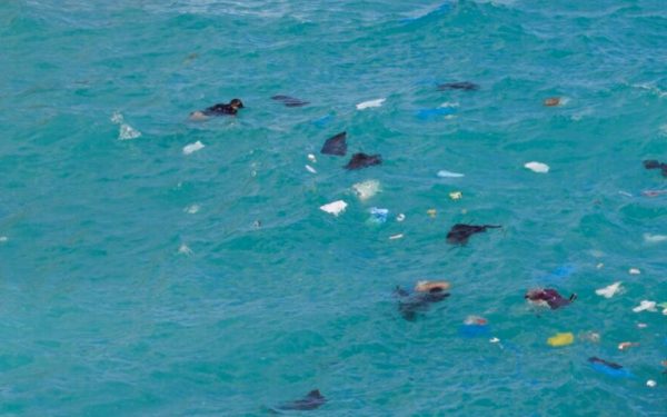 Κύθηρα: «Είδα ανθρώπους να χάνονται μπροστά στα μάτια μου»