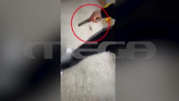 Πολυτεχνειούπολη: Μέλος της συμμορίας έκανε περιπολία με πιστόλι και πίτμπουλ – Βίντεο ντοκουμέντο