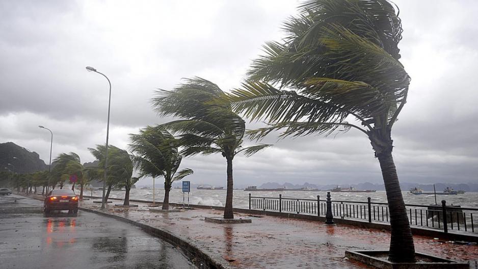 Σάκης Αρναούτογλου: «Μην παρκάρετε αυτοκίνητα κάτω από δέντρα, έρχονται πολύ ισχυροί άνεμοι»