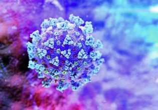 Κοροναϊός: Ανακαλύφθηκε «υπεργονίδιο» που παράγει υψηλότερα επίπεδα αντισωμάτων