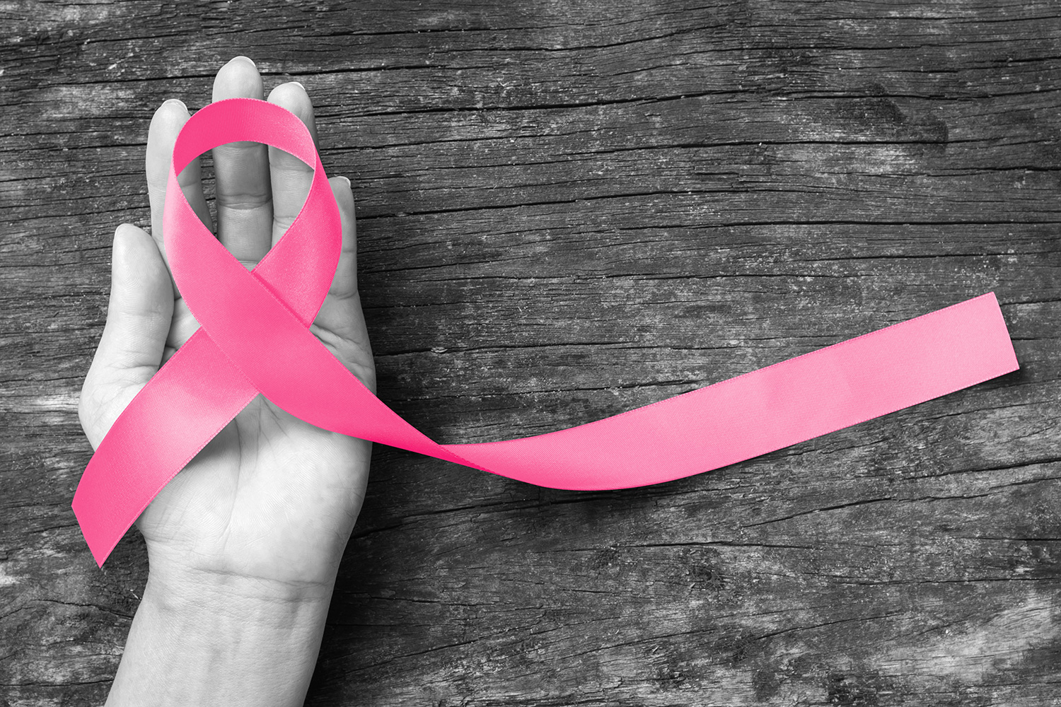 Καρκίνος του μαστού: Να δυναμώσει η αγωνιστική διεκδίκηση για απολύτως δωρεάν υπηρεσίες πρόληψης, λέει ο Δημήτρης Κουτσούμπας