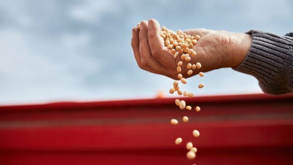 Η Ρωσία επιπλήττει τις ΗΠΑ με αφορμή δηλώσεις για τη συμφωνία εξαγωγής ουκρανικών σιτηρών