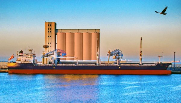 Σιτηρά: Δύο φορτηγά πλοία έχουν αναχωρήσει από ουκρανικά λιμάνια