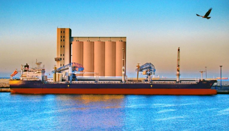 Σιτηρά: Δύο φορτηγά πλοία έχουν αναχωρήσει από ουκρανικά λιμάνια