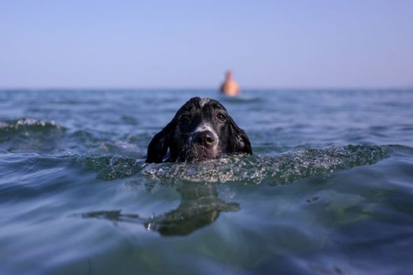 Τσατραφύλλιας: «Ασυνήθιστο κύμα ζέστης την επόμενη εβδομάδα», σε ποιες περιοχές θα έχει 30άρια [πίνακας]