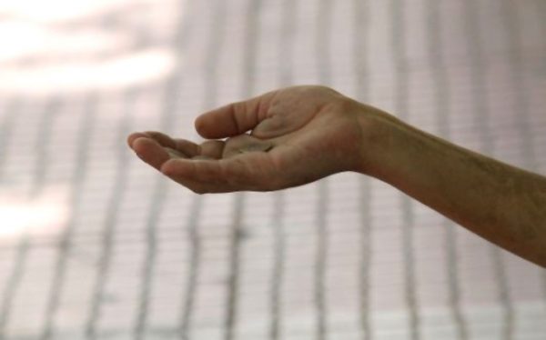 Πάτρα: Ζητιανάκια έχουν εκπαιδευτεί να απειλούν με « αρρωστημένα» κόλπα όσους δεν δίνουν λεφτά – Δείτε τι κάνουν