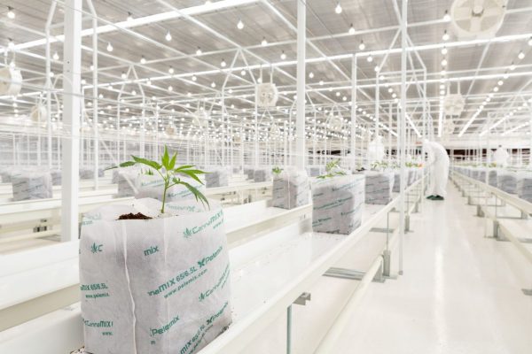 Η Φαρμασέρβ αποκλειστικός αντιπρόσωπος της Tikun στην Ελλάδα