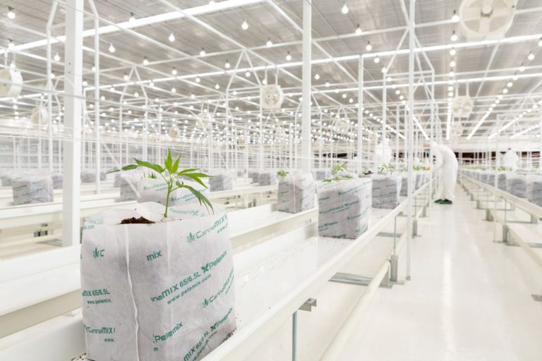 Η Φαρμασέρβ αποκλειστικός αντιπρόσωπος της Tikun στην Ελλάδα