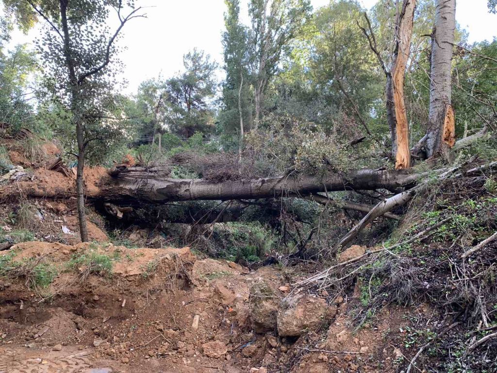Από σπασμένα δέντρα μέχρι και μοτοσυκλέτες βρέθηκαν στα ρέματα της Αττικής