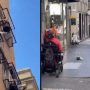 Παπαγάλος σκορπά… τρόμο σε γειτονιά: Πετάει γλάστρες από το μπαλκόνι στους περαστικούς