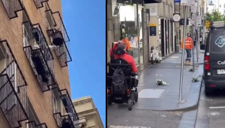 Παπαγάλος σκορπά... τρόμο σε γειτονιά: Πετάει γλάστρες από το μπαλκόνι στους περαστικούς
