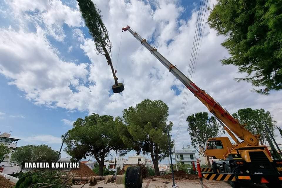 Γεμίζει μεγάλα δέντρα η Γλυφάδα