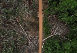 Αμαζόνιος: Κυρώσεις ετοιμάζουν οι ΗΠΑ για την παράνομη αποψίλωση