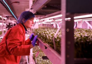 Τροφή για το μέλλον: Το πολεμικό καταφύγιο που μετατράπηκε σε υπόγεια φάρμα