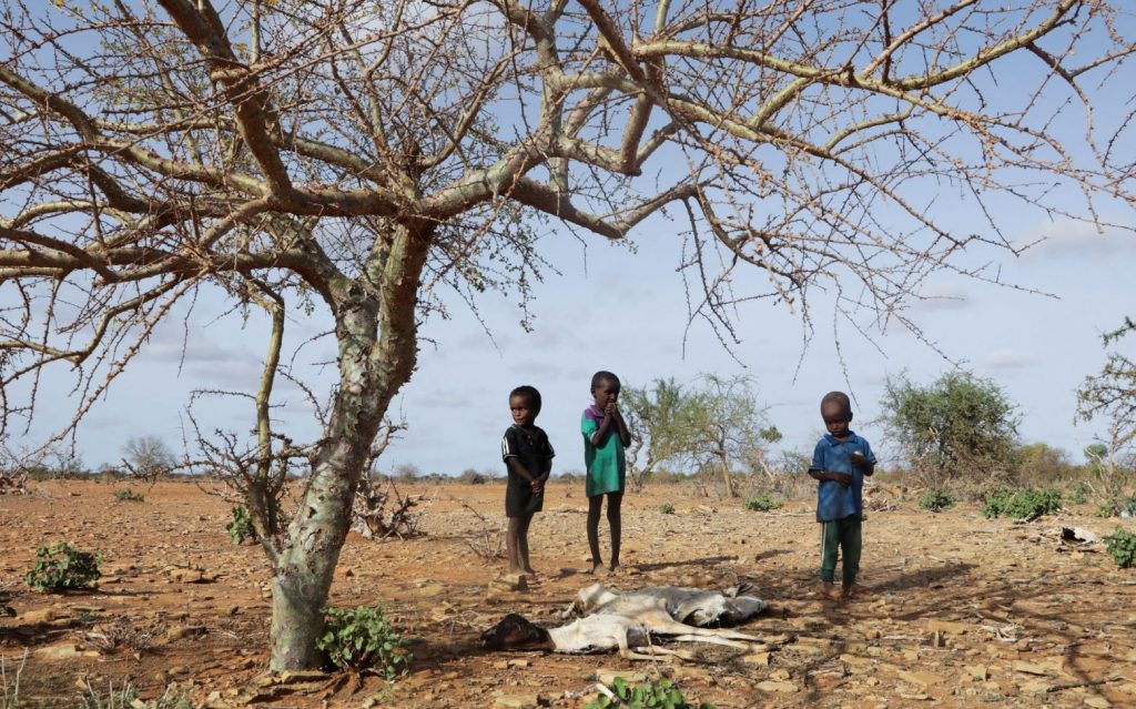 COP27: Τι είναι το ζήτημα των «ζημιών και απωλειών» που διχάζει τη σύνοδο για το κλίμα