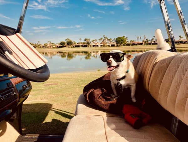 Ο ιδιοκτήτης του γηραιότερου εν ζωή σκύλου στον κόσμο έχει μία συμβουλή