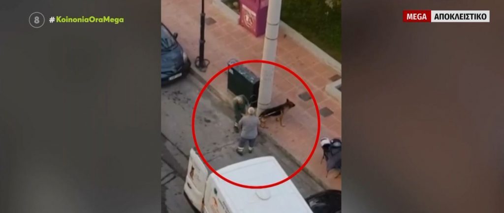 Δραπετσώνα: Συνελήφθη η ιδιοκτήτρια του λυκόσκυλου που κατασπάραξε μικρό κανίς