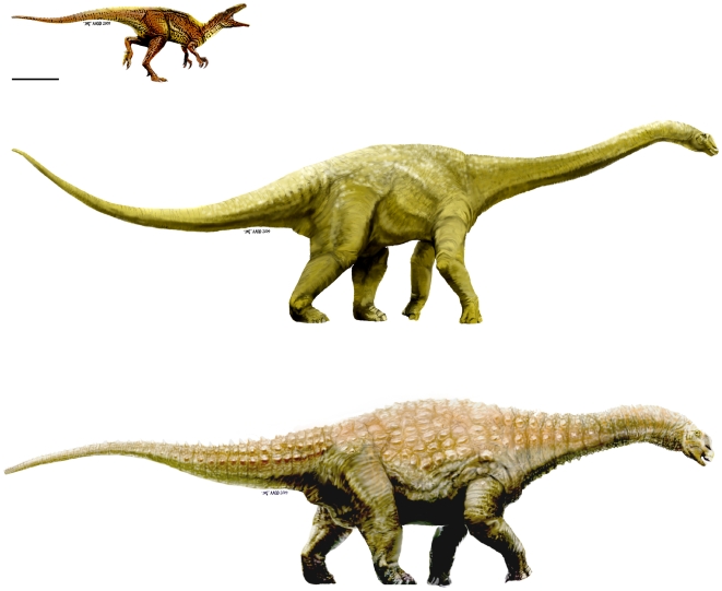 Γνωρίστε τον τιτανόσαυρο που επισκιάζει τον Ντίπι τον διπλόδοκο - «Ένα μεγαθήριο 57 τόνων»