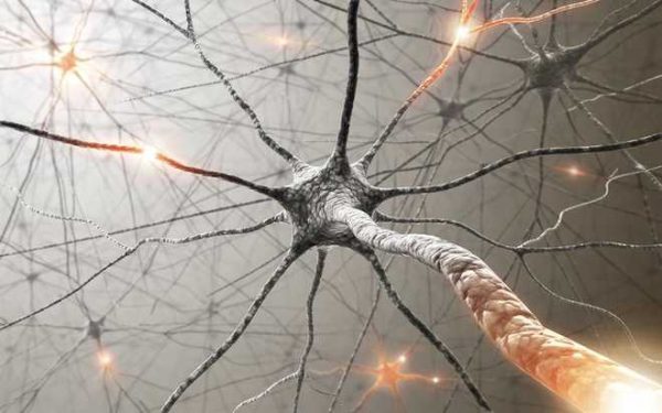 Υγεία: Εντοπίστηκαν νευρώνες που αποκαθιστούν το βάδισμα σε παράλυτους, μετά από ηλεκτρική διέγερση