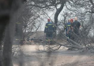 Δίκη για το Μάτι: Συγκλονιστική κατάθεση μάρτυρα