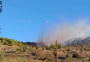 Φωτιά σε χαμηλή βλάστηση στην Αίγινα