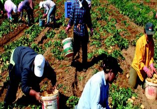 Εργάτες γης: Τροπολογία για παράταση της μετάκλησης τους από τρίτες χώρες