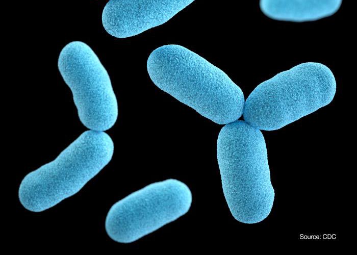 Αγγλία: Αύξηση των κρουσμάτων διφθερίτιδας