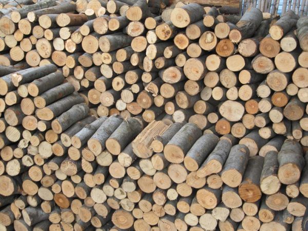Ακρίβεια: Απαγορεύεται η εξαγωγή ξυλείας από την Ελλάδα έως την 1 Μαρτίου 2023