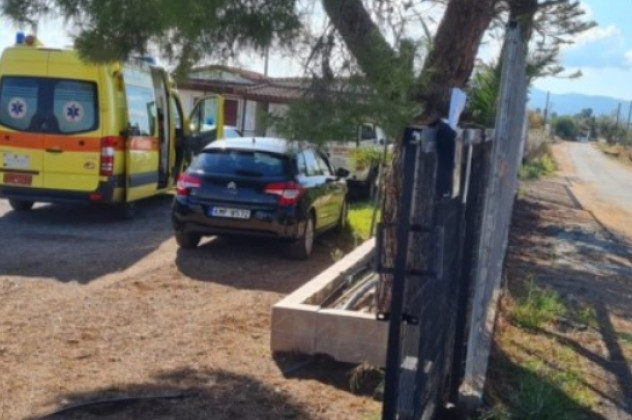 Γυναικοκτονία στη Μεσσήνη: Σκότωσε τη γυναίκα του με βαριοπούλα στον ύπνο της και μετά αυτοκτόνησε