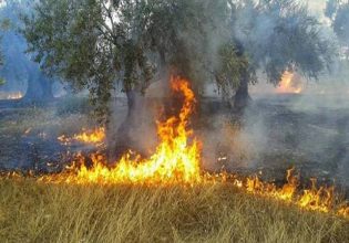 Ενισχύσεις: Σε ποιες περιοχές θα αποζημιωθούν οι αγρότες για πυρκαγιές και πλημμύρες