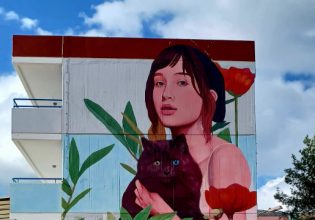 Κορυδαλλός: Εντυπωσιάζει το γκράφιτι της νεαρής γυναίκας σε σχολείο