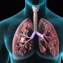 «Κόβουν την ανάσα» οι επιπτώσεις της πνευμονοπάθειας από το κάπνισμα