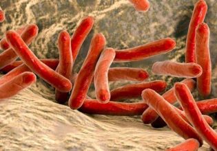 Πώς μια από τις αρχαιότερες νόσους μπορεί να μας χαρίσει… νέο ήπαρ